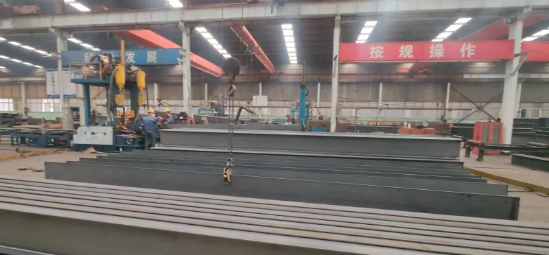 Steel Structure Racing Track